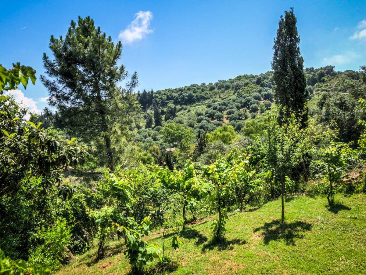 Hidden Gem In Nature Reserve Near The Beach - Corfu South Kritika  المظهر الخارجي الصورة